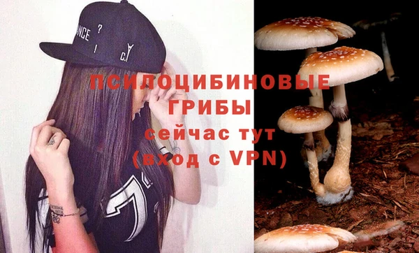 дурь Белоозёрский