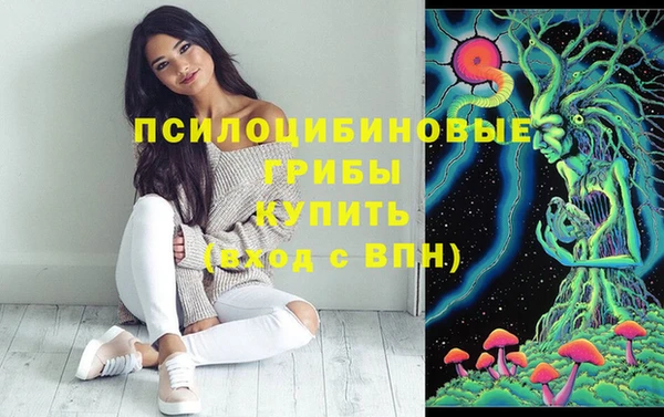 PSILOCYBIN Балабаново