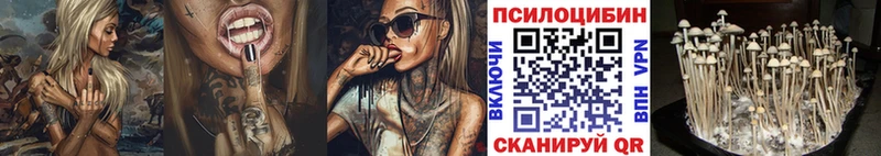 Псилоцибиновые грибы прущие грибы  дарнет шоп  Кяхта 